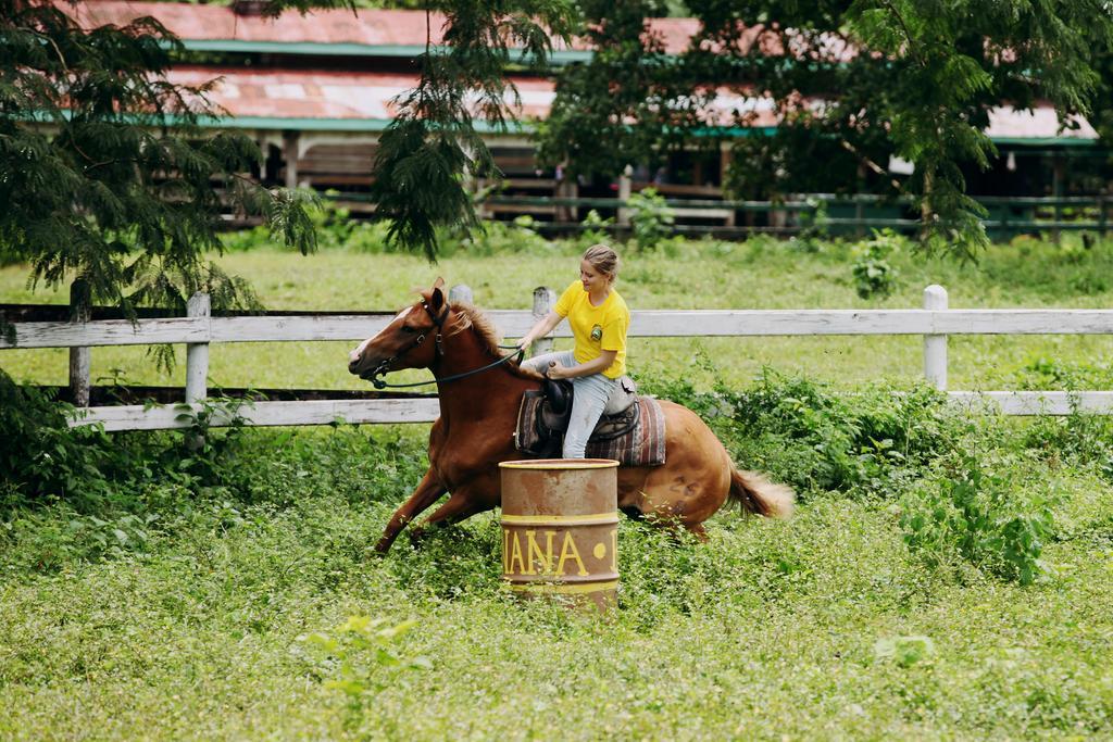 Banana Bank Lodge & Jungle Horseback Adventures Belmopan Exterior photo